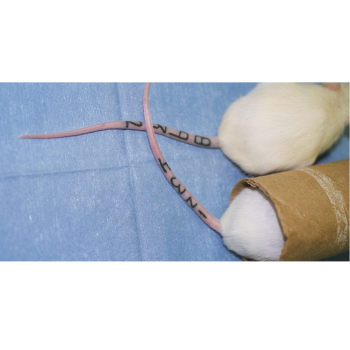 Neonate and General Rodent Tattoo Systems
