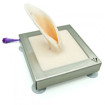 Rabbit auricular vein training simulator