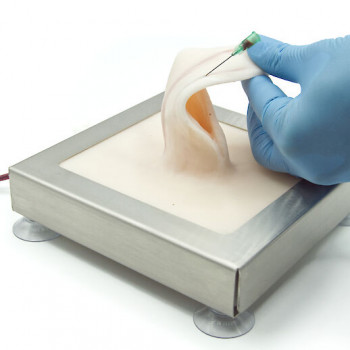 Rabbit auricular vein training simulator