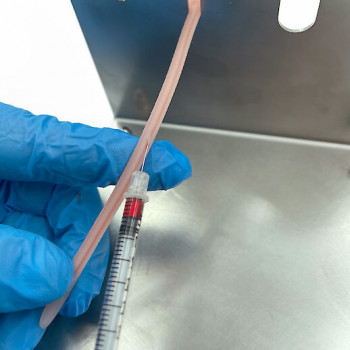 HOLDER FOR MOUSE TAIL TRAINING