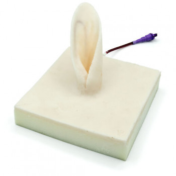 Blood bag for Rabbit auricular simulator
