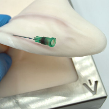 simulateur d'oreille de lapin