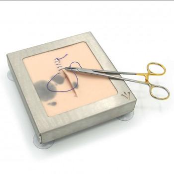 Skin training suture for small animal