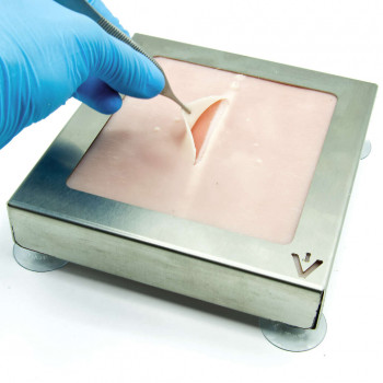 rat skin training suture