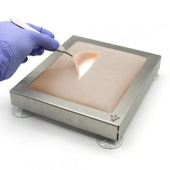 primate skin training suture