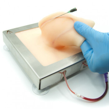 Pig auricular vein training simulator