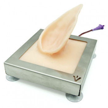 Pig auricular vein training simulator