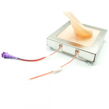 Pig auricular vein training simulator
