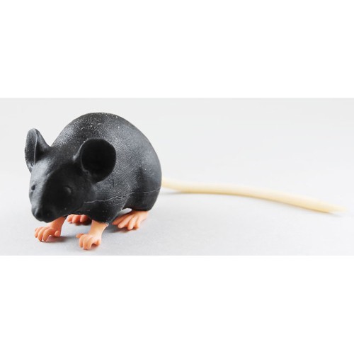 Modèle d'imitation de souris Modèle d'imitation de souris