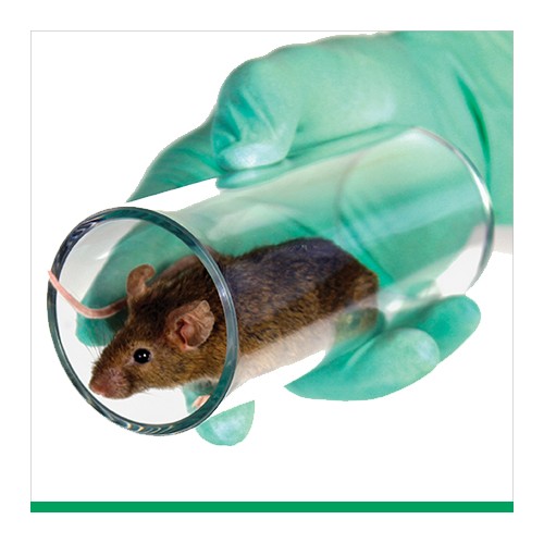 Mouse Transfer Tube