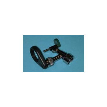 Otoscope for rodent