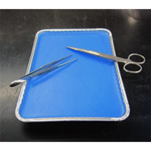 Blue wax dissection tray Blue wax dissection tray